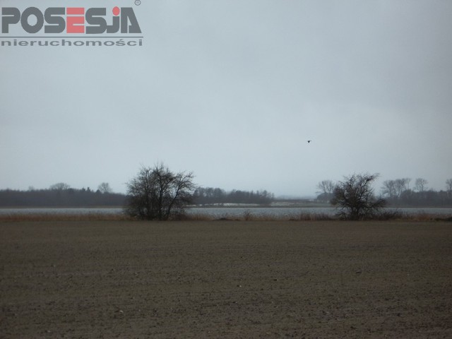 Działka z 240 metrową linią brzegową nad Dziwną (4)