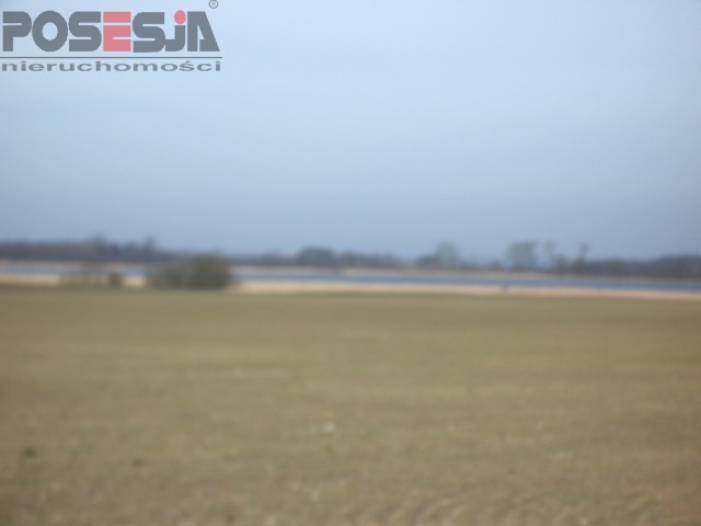 Działka z 240 metrową linią brzegową nad Dziwną (5)