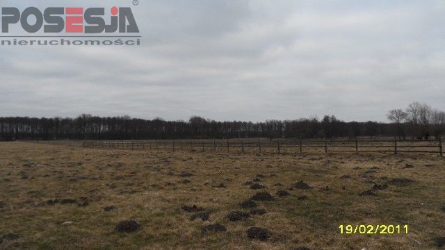 Siedliskowa, 11,200 m2, Kluki  (3)