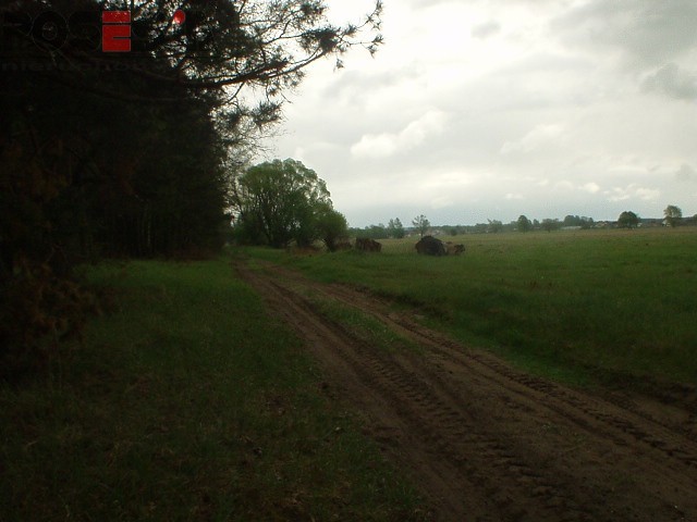 Komercyjna, 7,964 m2, Szczecin Wielgowo (1)