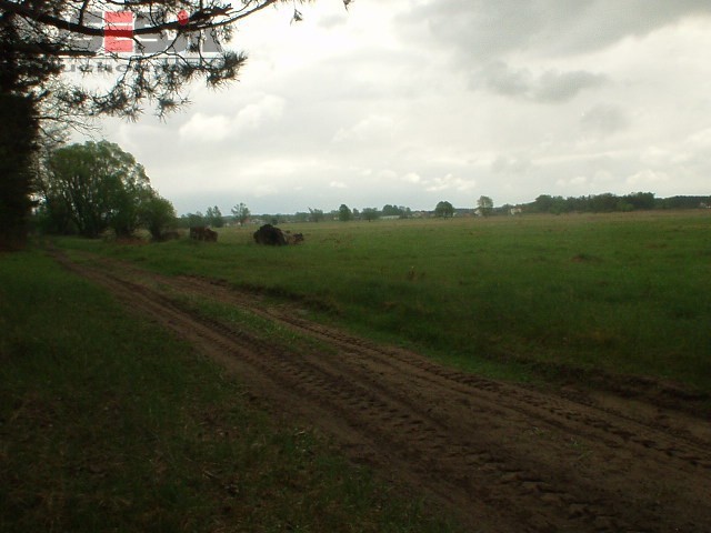 Komercyjna, 7,964 m2, Szczecin Wielgowo (2)