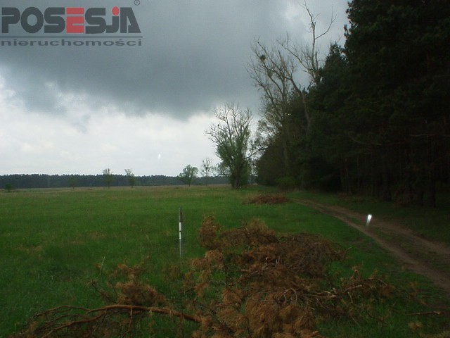 Komercyjna, 7,964 m2, Szczecin Wielgowo (3)