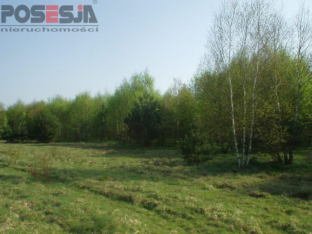 Ładna działka budowlana w Rurzycy (2)