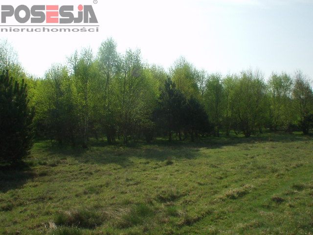 Ładna działka budowlana w Rurzycy (3)