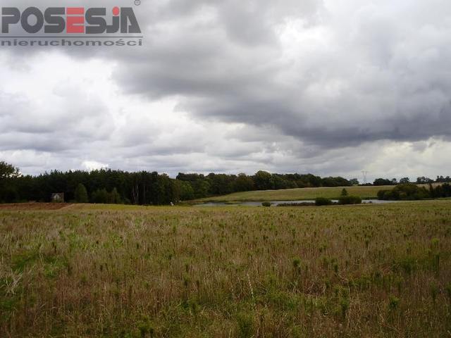 Siedliskowa, 3,000 m2, Mielenko Gryfińskie  (2)