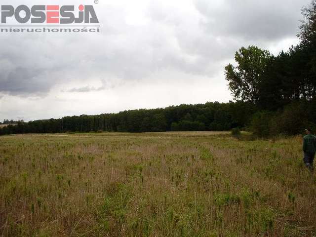 Siedliskowa, 3,000 m2, Mielenko Gryfińskie  (3)