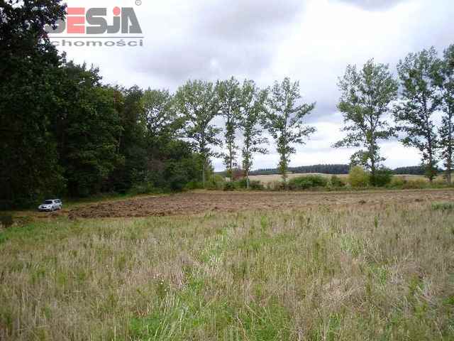 Siedliskowa, 3,000 m2, Mielenko Gryfińskie  (4)
