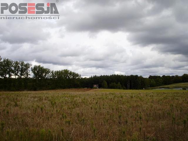 Siedliskowa, 3,000 m2, Mielenko Gryfińskie  (5)