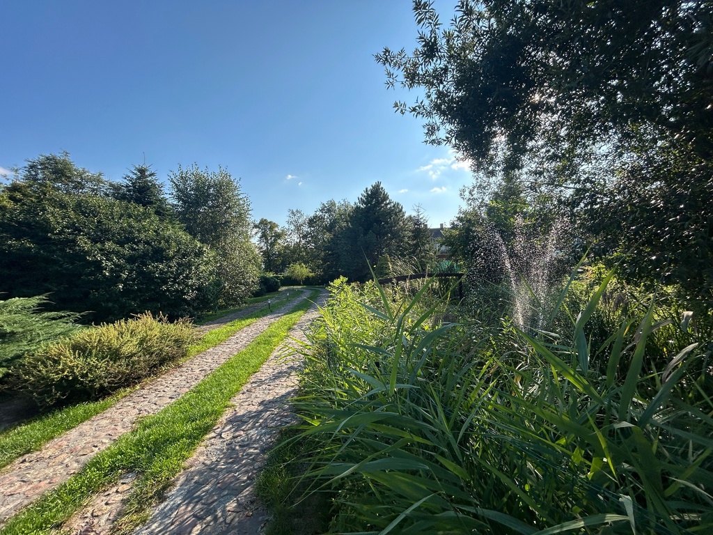 Parterowy * po remoncie * kameralne miejsce (16)