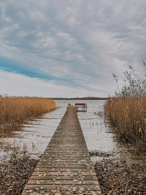 na sprzedaż dom nad jeziorem z linia brzegową (17)