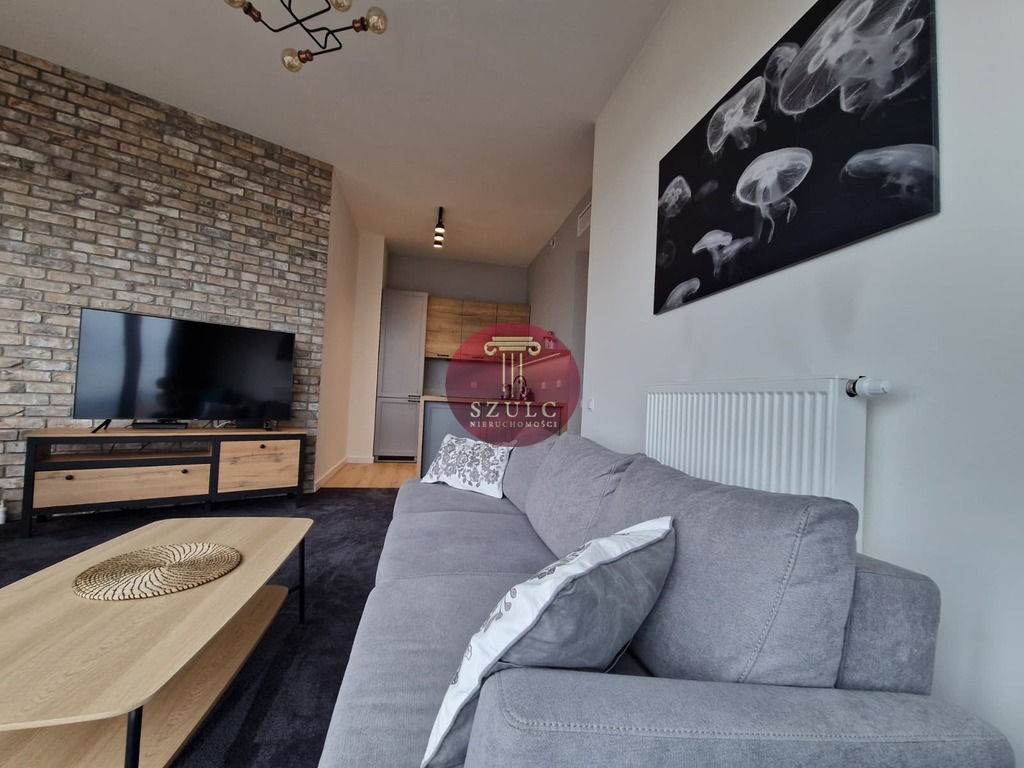 Na  wynajem komfortowy apartament w sercu miasta. (10)