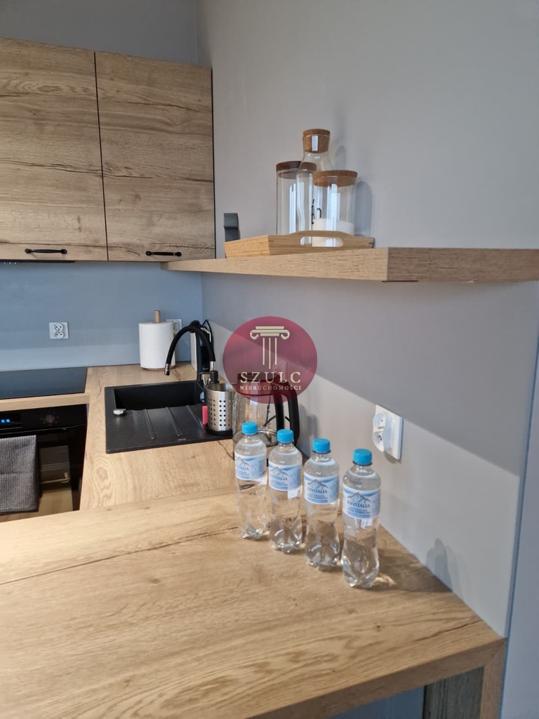 Na  wynajem komfortowy apartament w sercu miasta. (15)