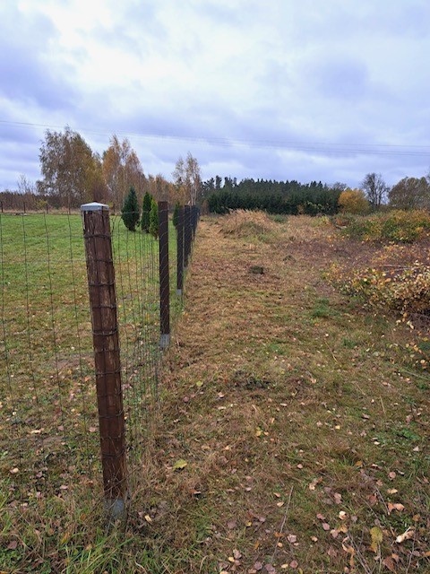 DZIAŁKA  BLISKO JEZIORA 300M (2)