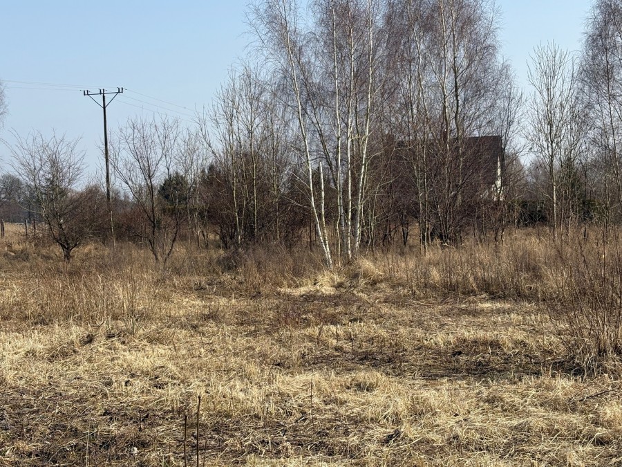 DZIAŁKA  BLISKO JEZIORA 300M (1)