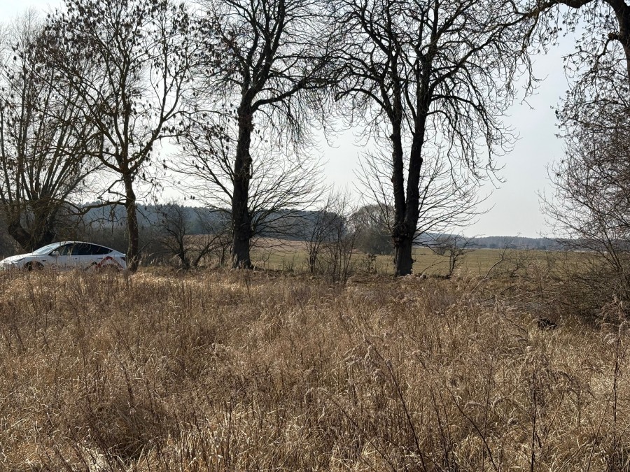 DZIAŁKA  BLISKO JEZIORA 300M (2)