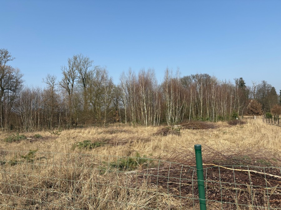 DZIAŁKA  BLISKO JEZIORA 300M (4)