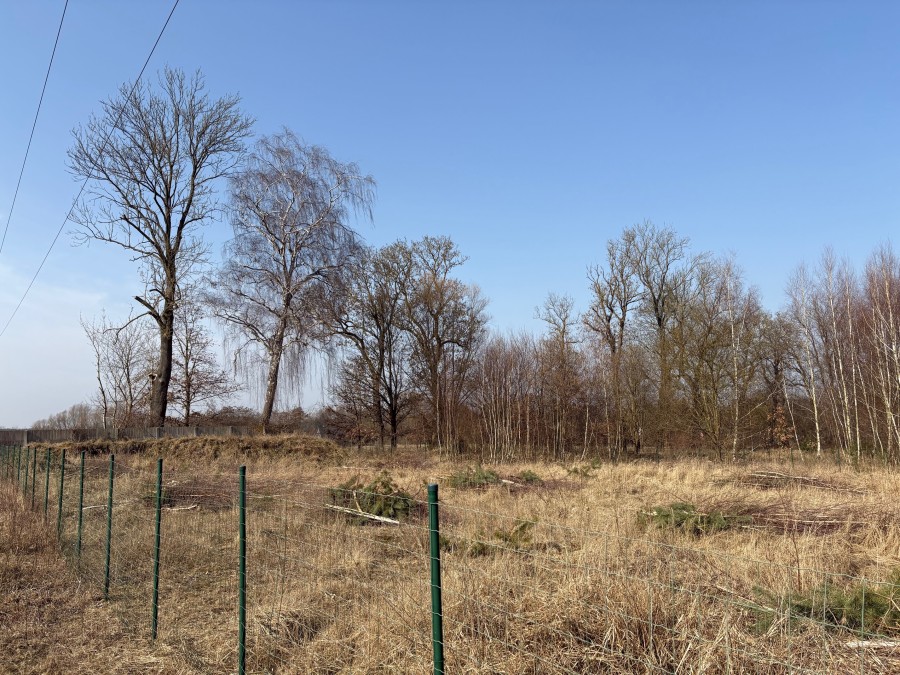 DZIAŁKA  BLISKO JEZIORA 300M (5)