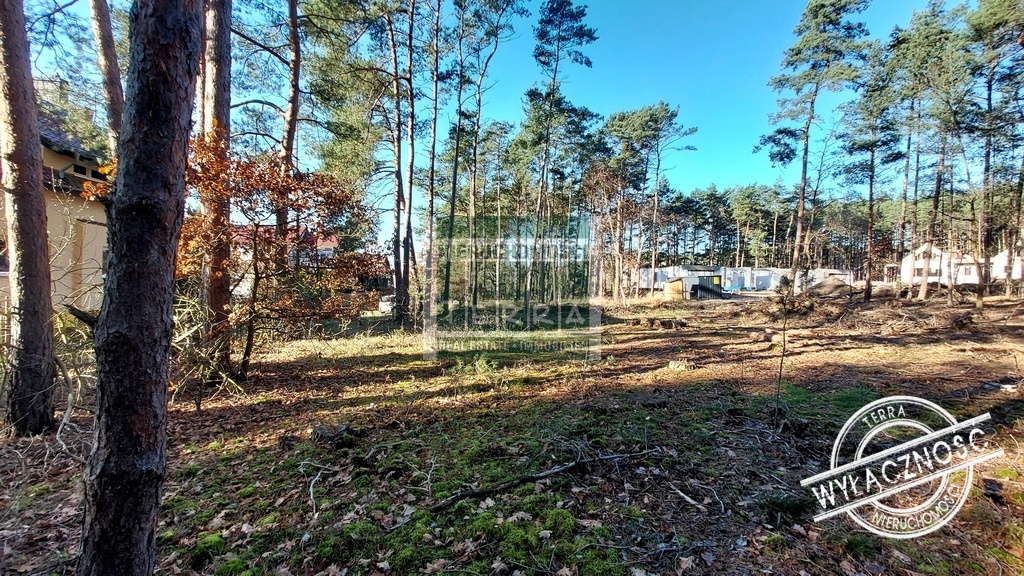 Działka pod lasem w Drzonkowie! (8)