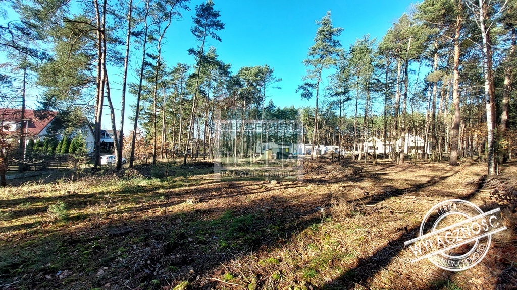 Działka pod lasem w Drzonkowie! (2)