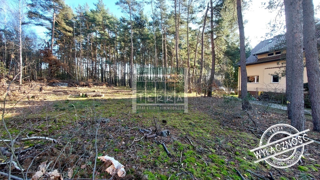 Działka pod lasem w Drzonkowie! (5)