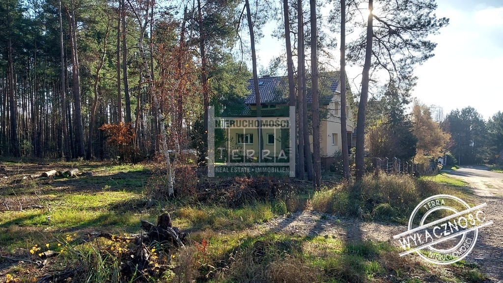Działka pod lasem w Drzonkowie! (4)