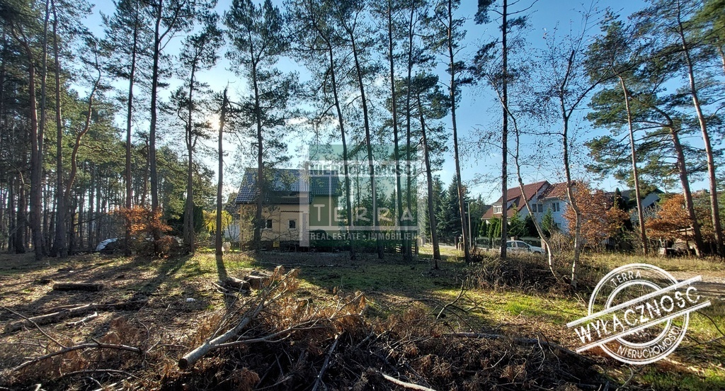 Działka pod lasem w Drzonkowie! (3)
