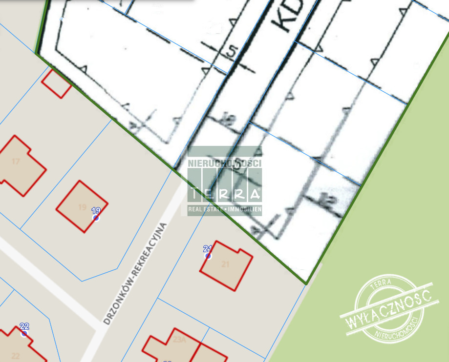 Działka pod lasem w Drzonkowie! (7)