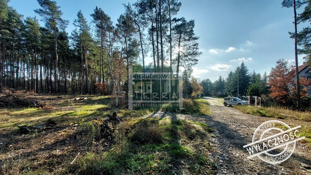 Działka pod lasem w Drzonkowie! (11)