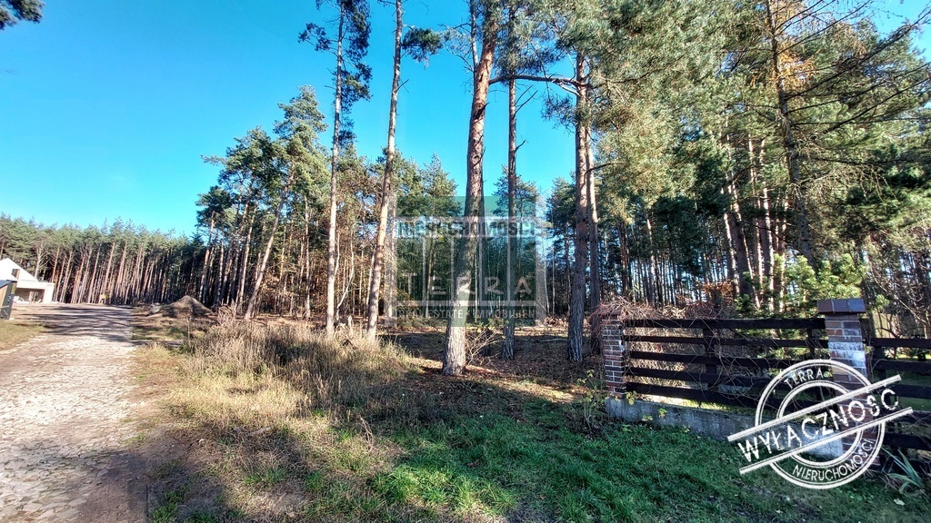 Działka pod lasem w Drzonkowie! (10)