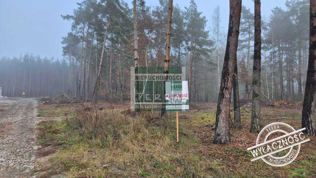 Działka pod lasem w Drzonkowie! (12)