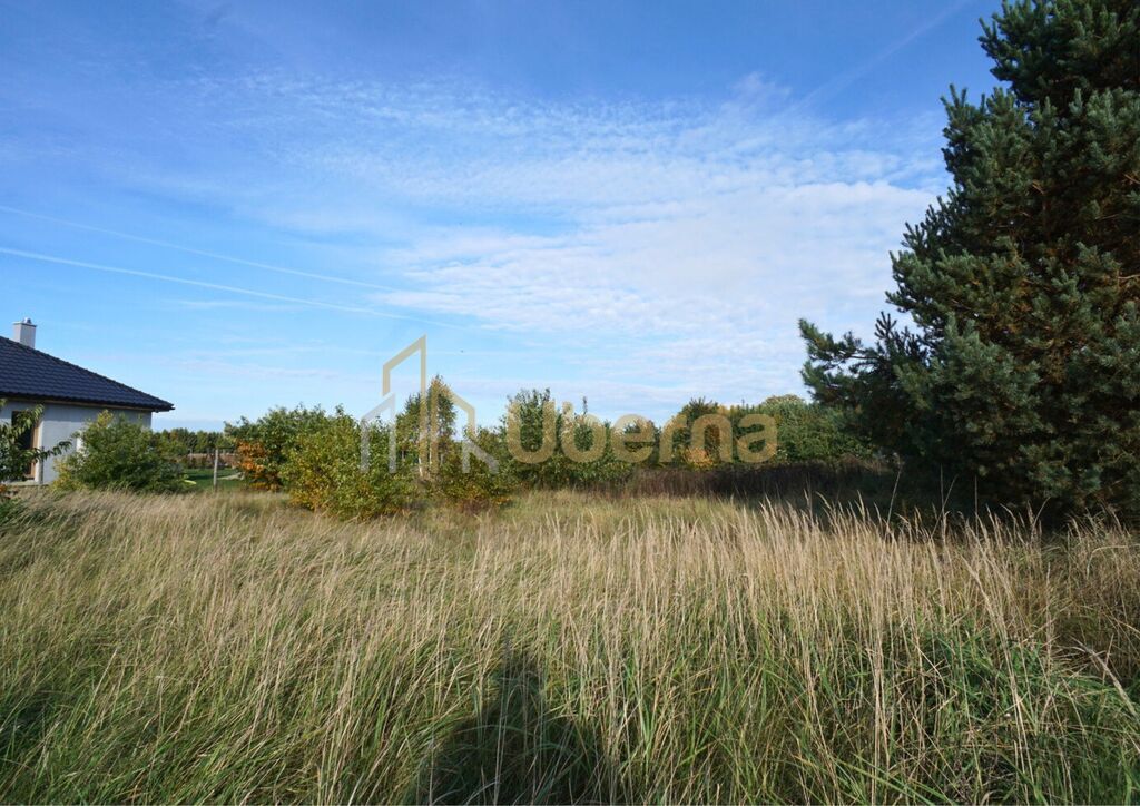 Łaniewo pod Goleniowem działka na sprzedaż (4)