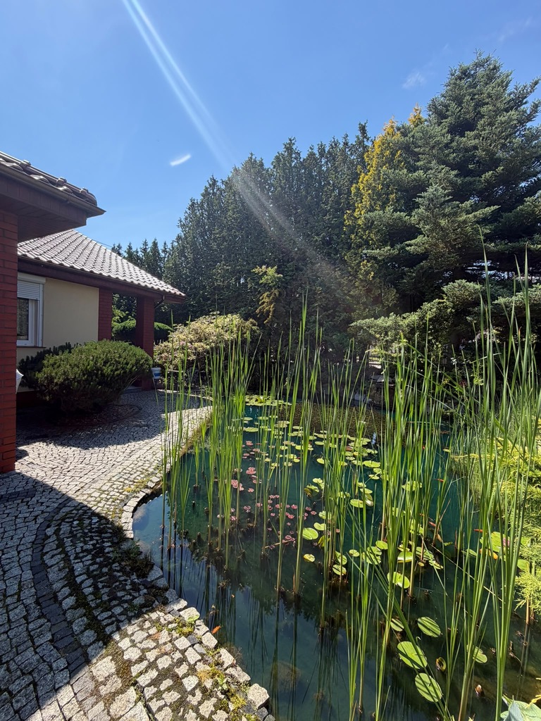 Dom i mieszkanie z garażem w cenie Bierzwnik (1)