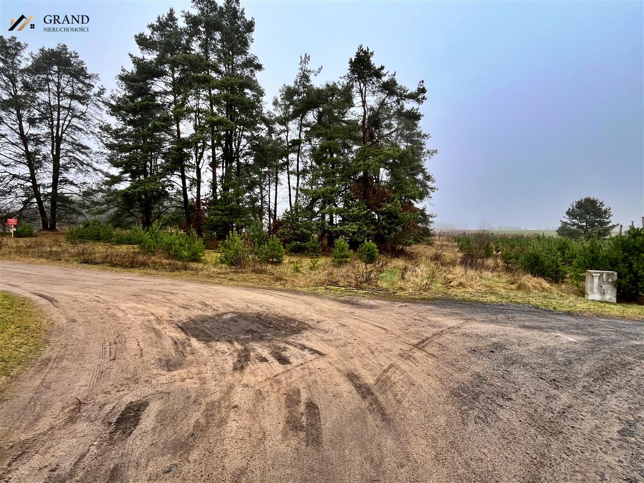 Działka pod zabudowe jednorodzinną- Bialy Bór (11)