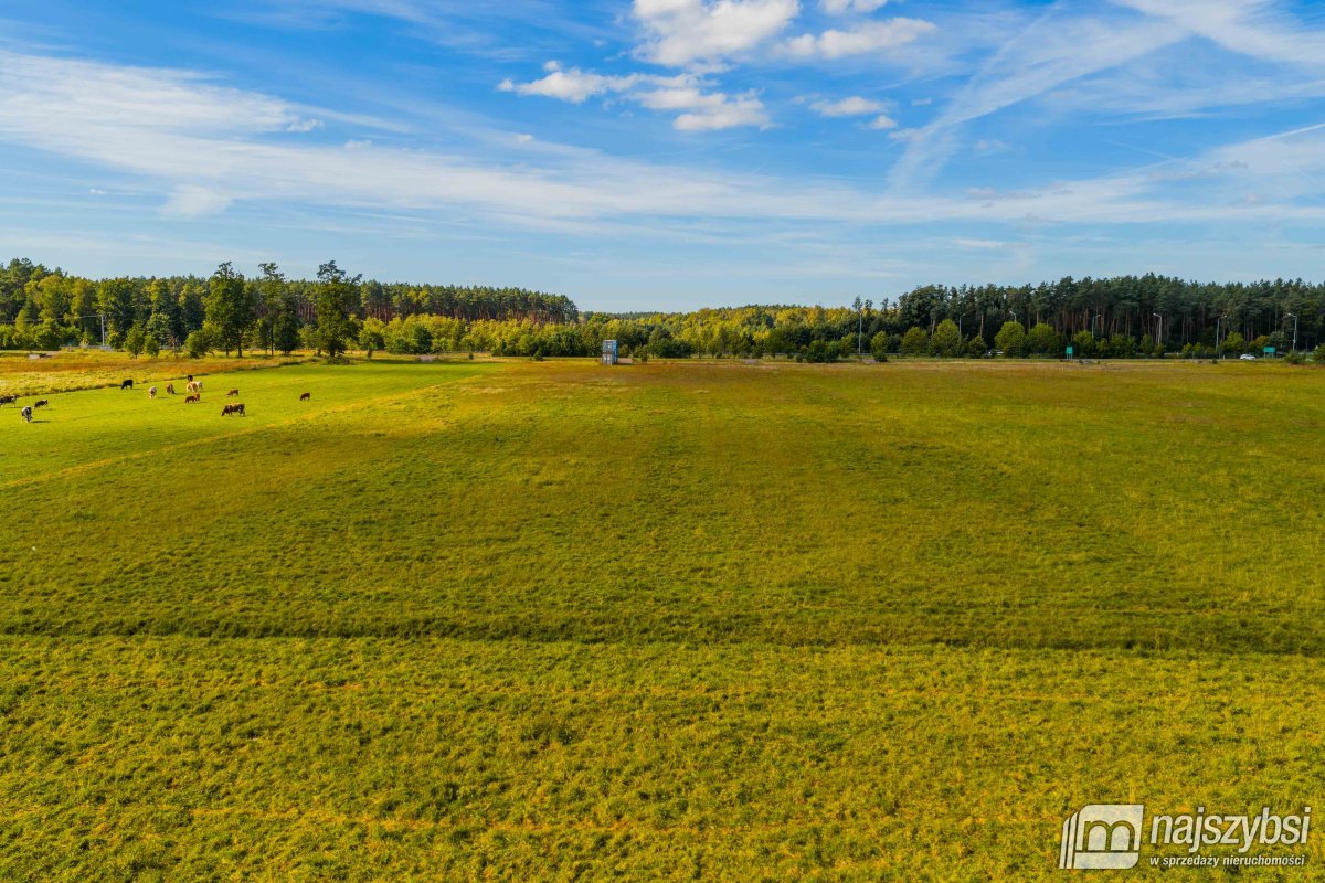 Goleniów/Miękowo- działka przy drodze S3 (11)