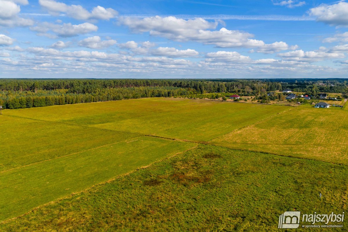 Goleniów/Miękowo- działka przy drodze S3 (4)