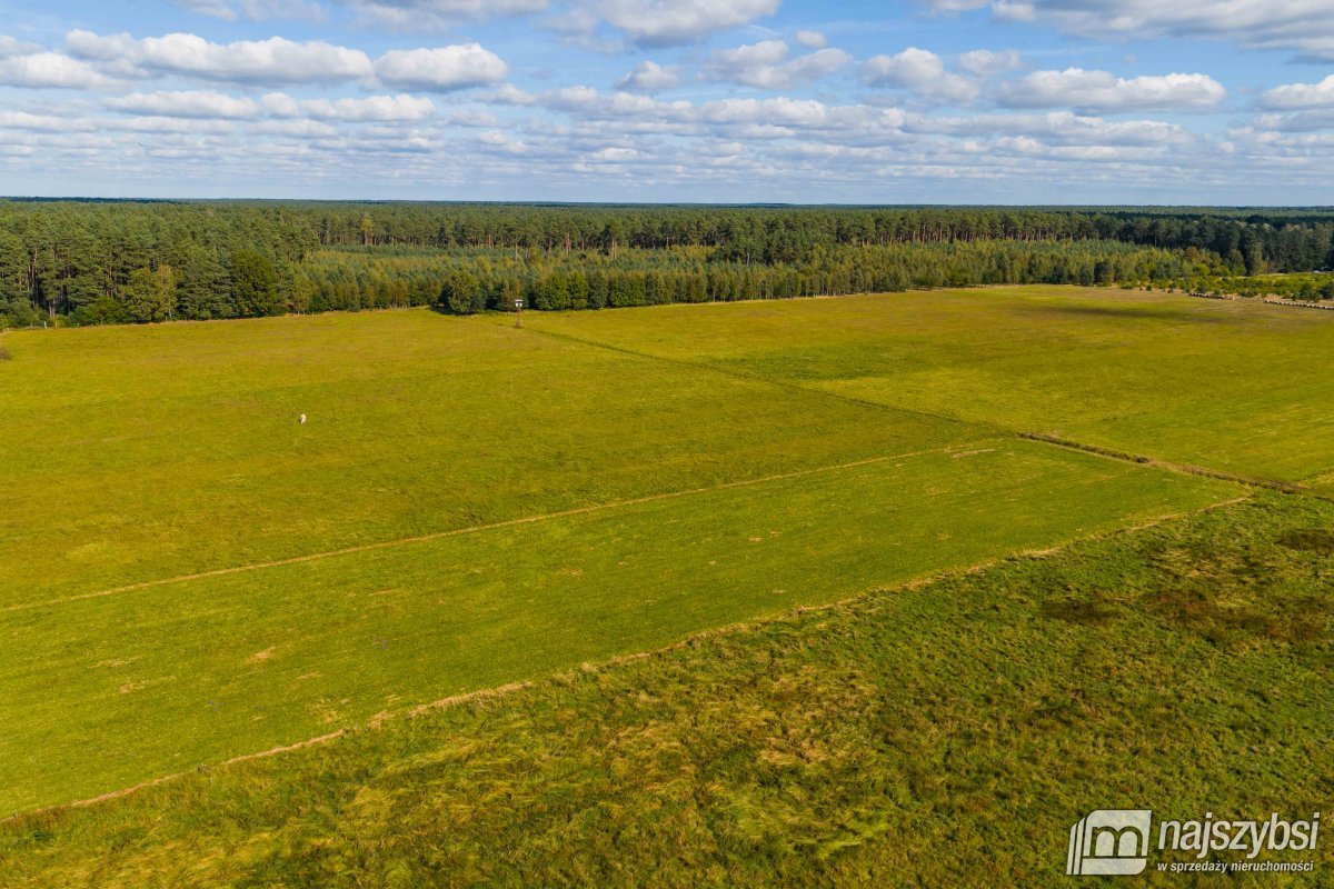 Goleniów/Miękowo- działka przy drodze S3 (5)