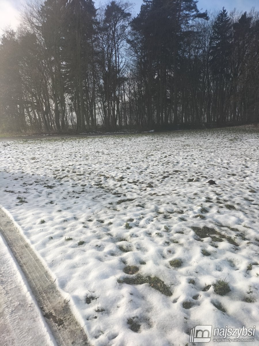 Gryfice- działka budowlana z warunkami zabudowy  (3)