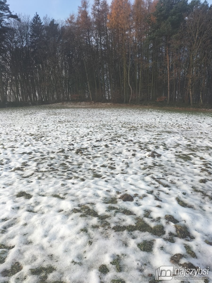 Gryfice- działka budowlana z warunkami zabudowy  (4)