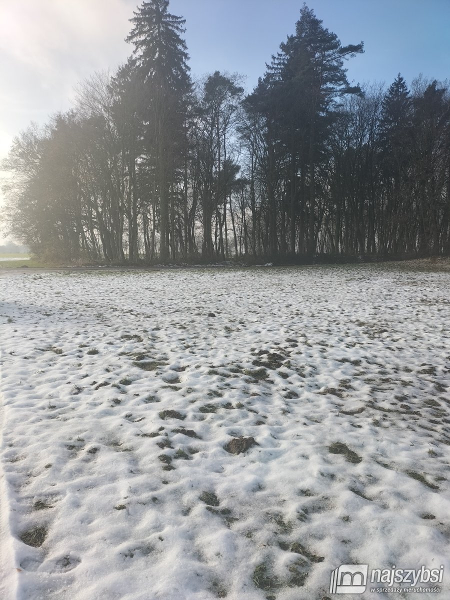 Gryfice- działka budowlana z warunkami zabudowy  (6)