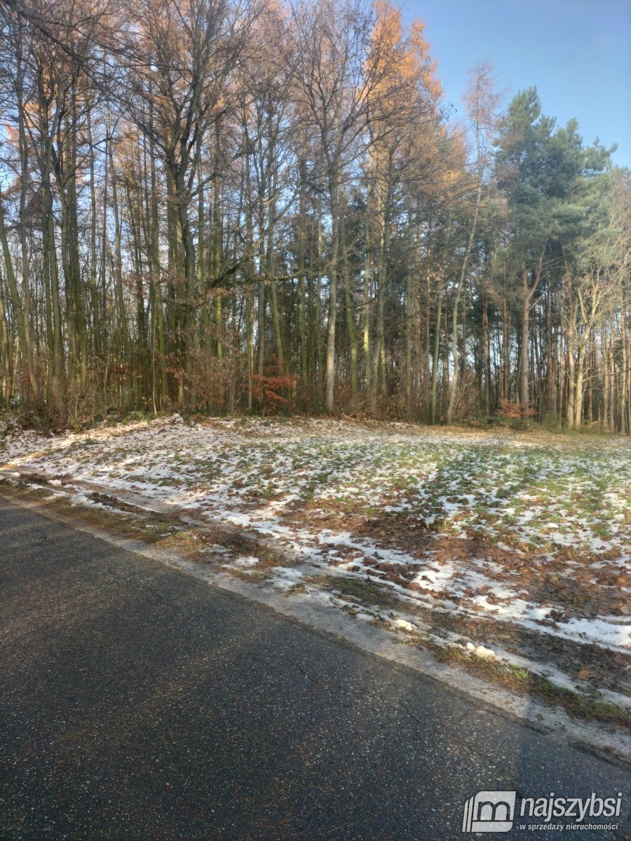 Gryfice- działka budowlana z warunkami zabudowy  (8)