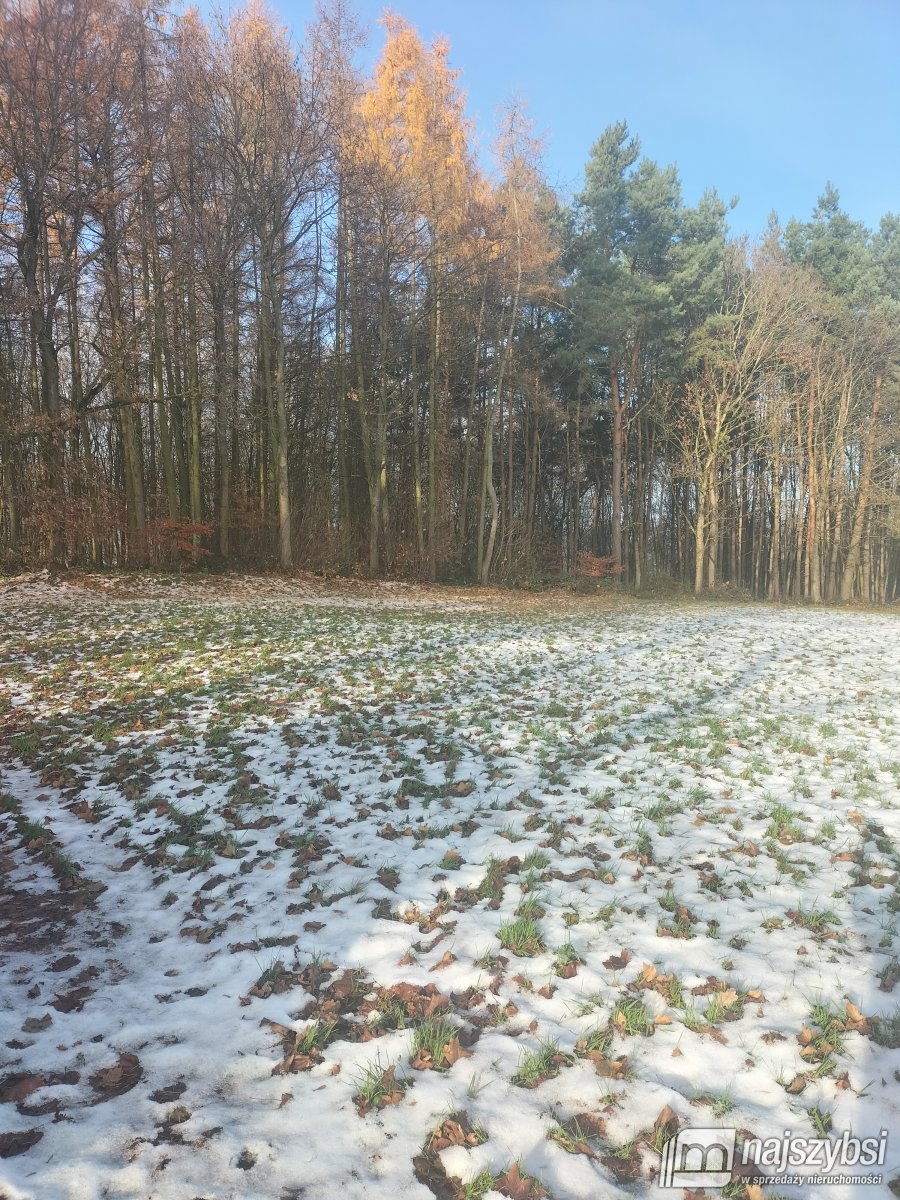 Gryfice- działka budowlana z warunkami zabudowy  (9)