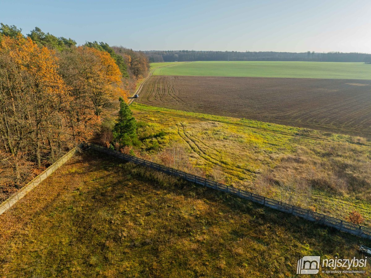 Nowogard - obrzeża, miejscowy plan (12)