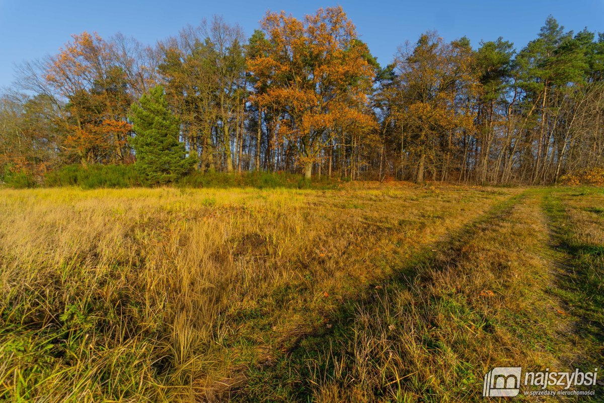Nowogard - obrzeża, miejscowy plan (13)
