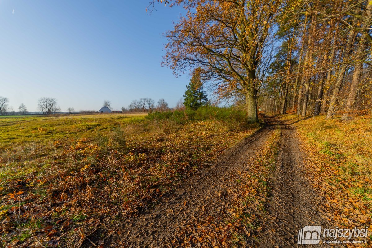 Nowogard - obrzeża, miejscowy plan (14)