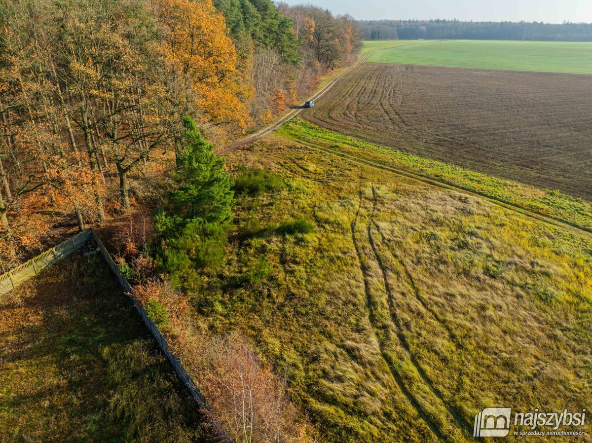 Nowogard - obrzeża, miejscowy plan (15)