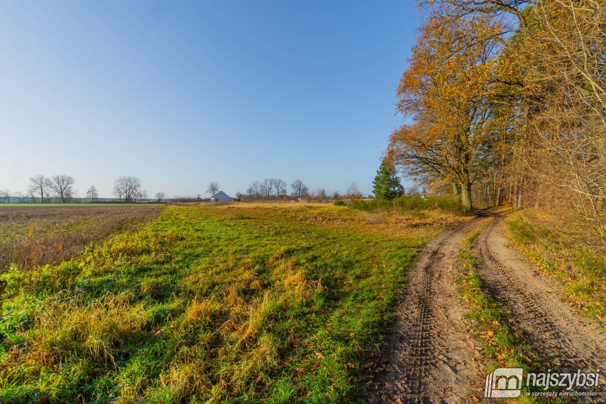 Nowogard - obrzeża, miejscowy plan (18)