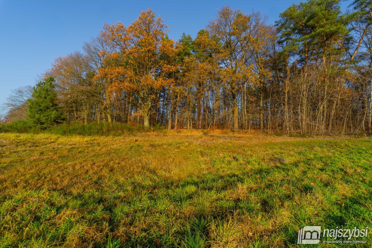 Nowogard - obrzeża, miejscowy plan (19)