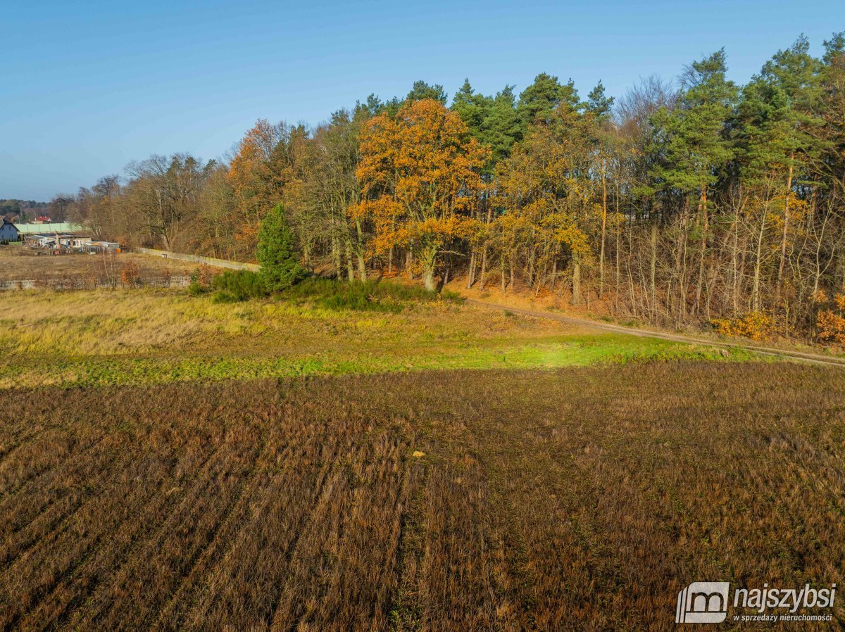 Nowogard - obrzeża, miejscowy plan (6)