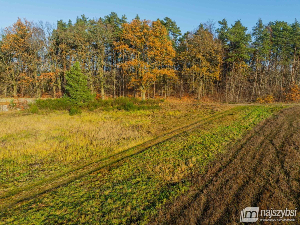 Nowogard - obrzeża, miejscowy plan (8)