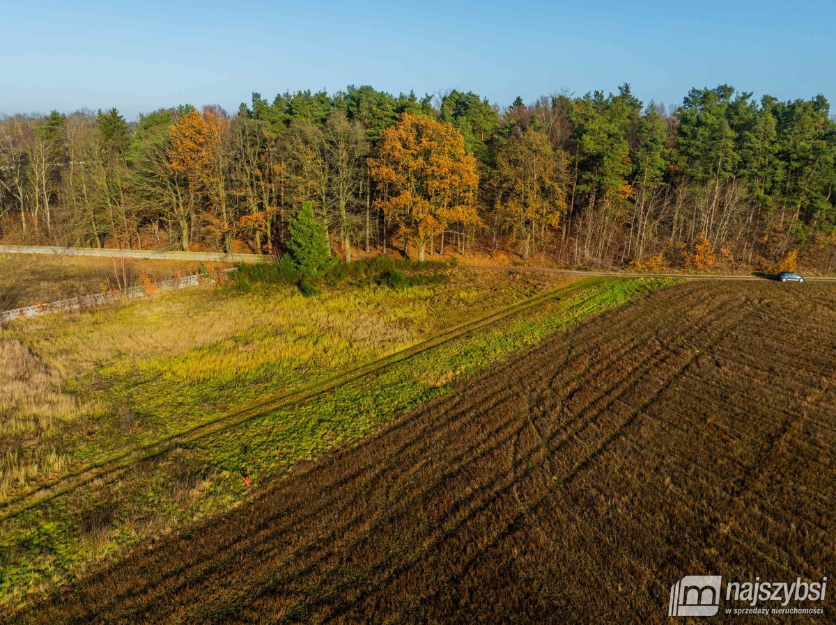 Nowogard - obrzeża, miejscowy plan (9)